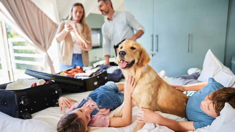 The Common Mistakes People Make When Relocating Pets